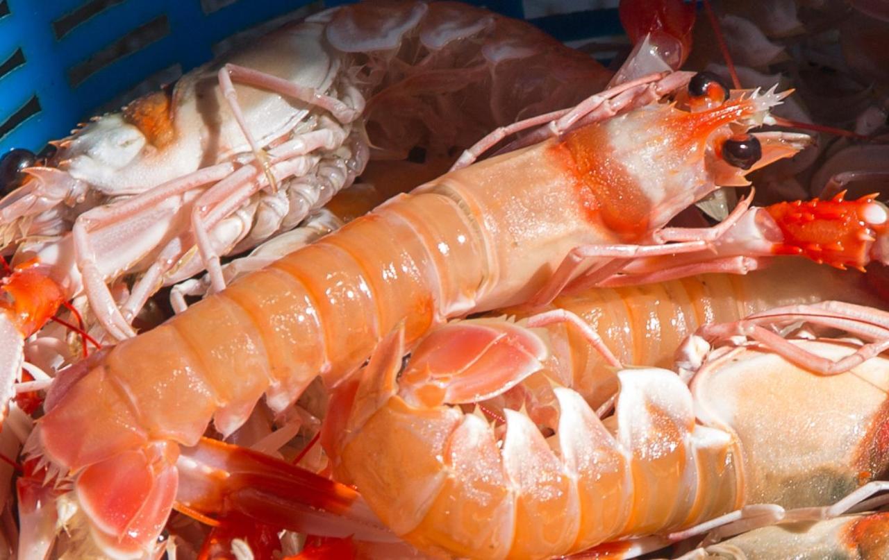 La Casita Del Pescador Villa Caleta De Velez Kültér fotó
